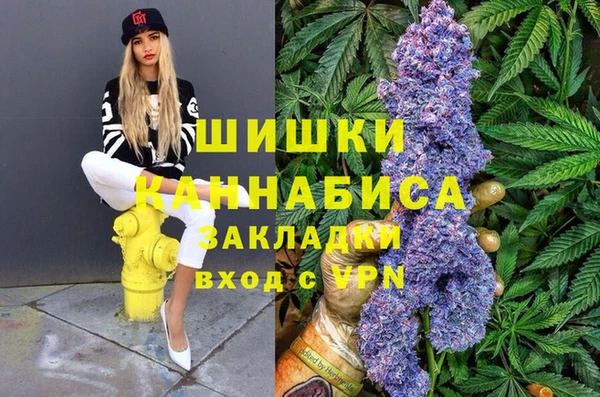 дурь Бронницы