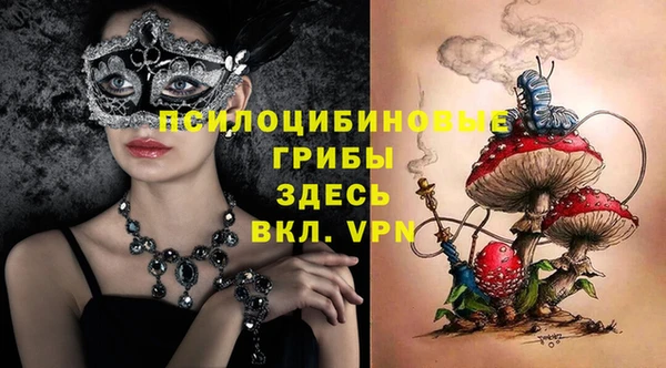 apvp Бугульма