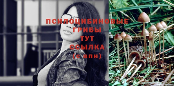 mdpv Белокуриха