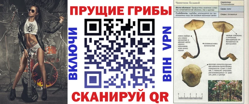закладка  Камышлов  Псилоцибиновые грибы MAGIC MUSHROOMS 